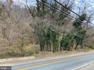 a view of a yard and a parking space