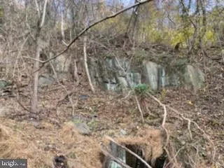 a view of a dry yard with wooden fence