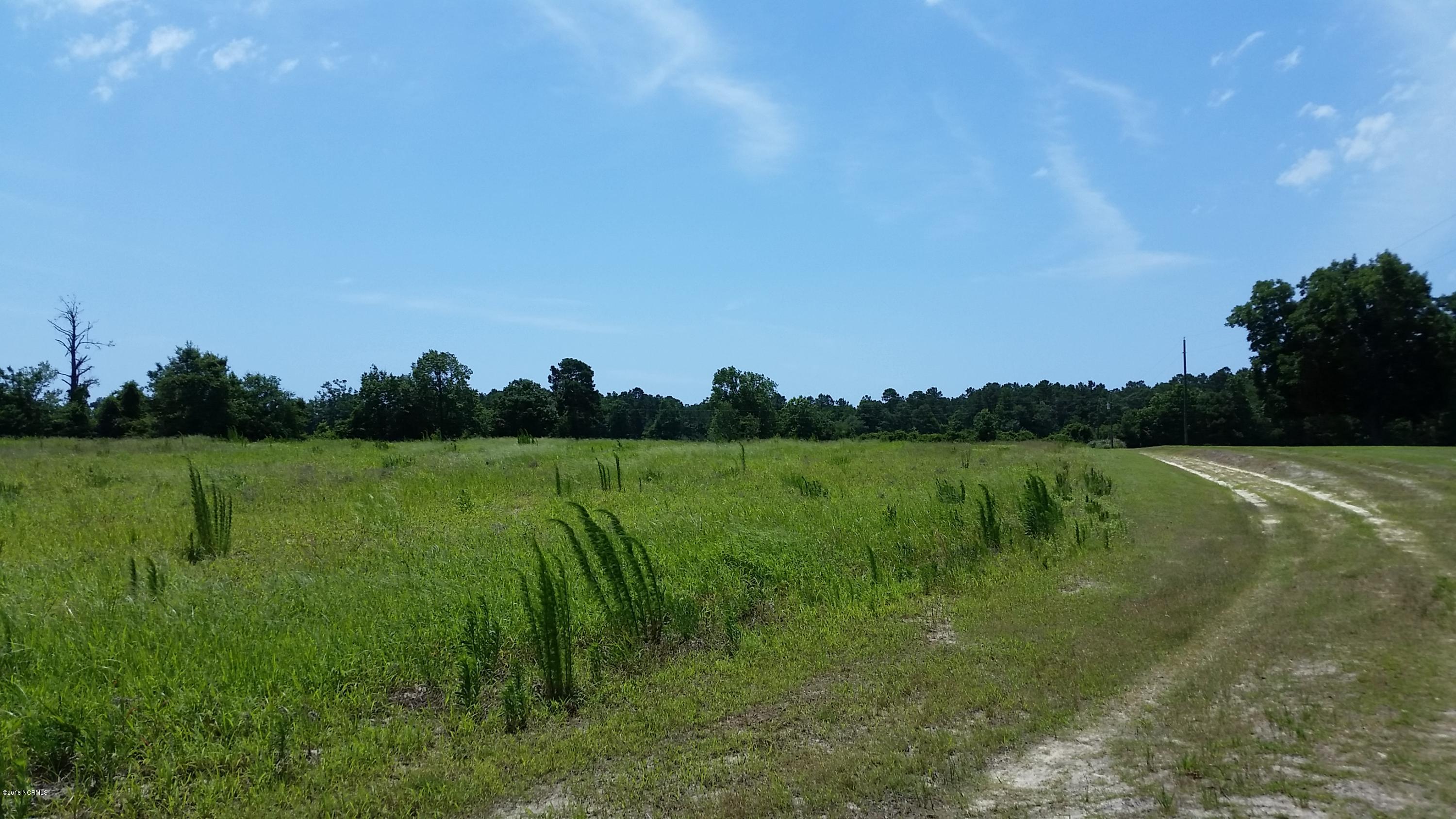 650 Hewett Road Southwest Supply, NC 28462 - Photo 10 of 15 20160621_123017