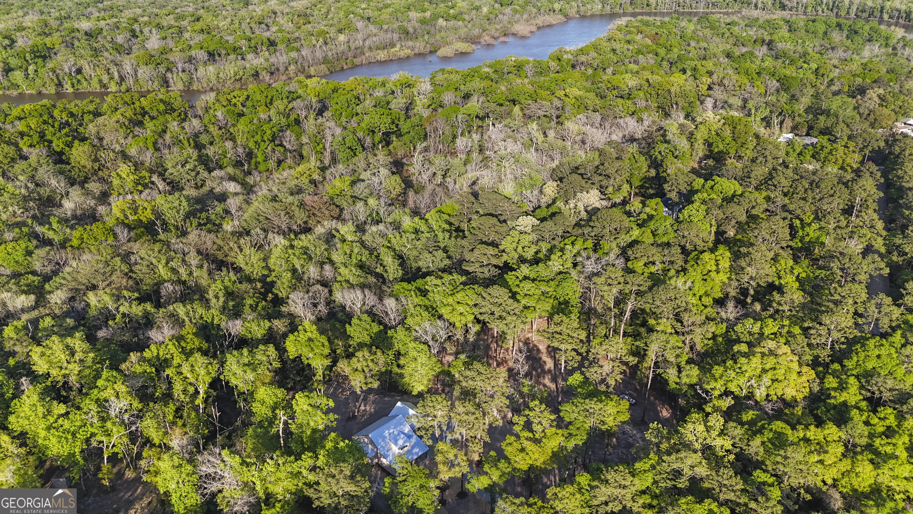 150 Lakeview Drive Jesup, GA 31545 - Photo 4 of 34 a view of a lush green field