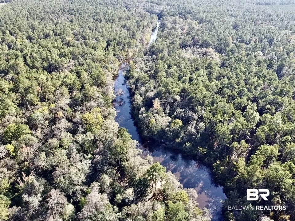 0 Country Road Vinegar Bend, AL 36584 - Photo 26 of 46