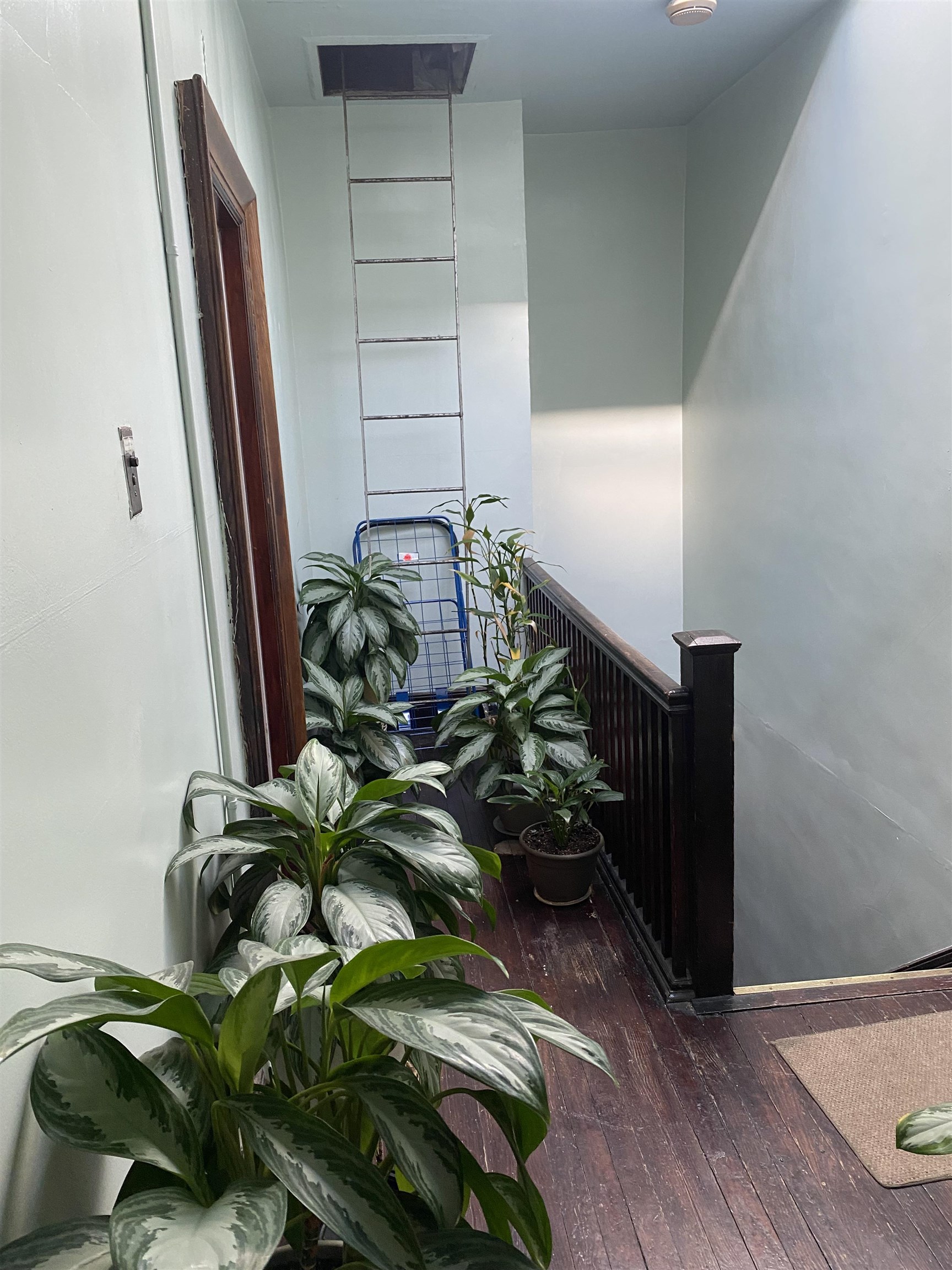 19 Fox Place, Unit 3 Jersey City, NJ 07306 - Photo 14 of 18 a vase of flowers sitting on a wooden floor