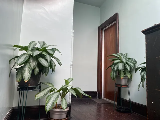 a vase of flowers sitting on a table with a mirror