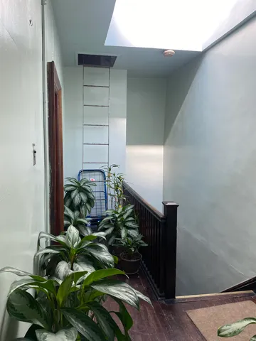 a plant that is in front of a window