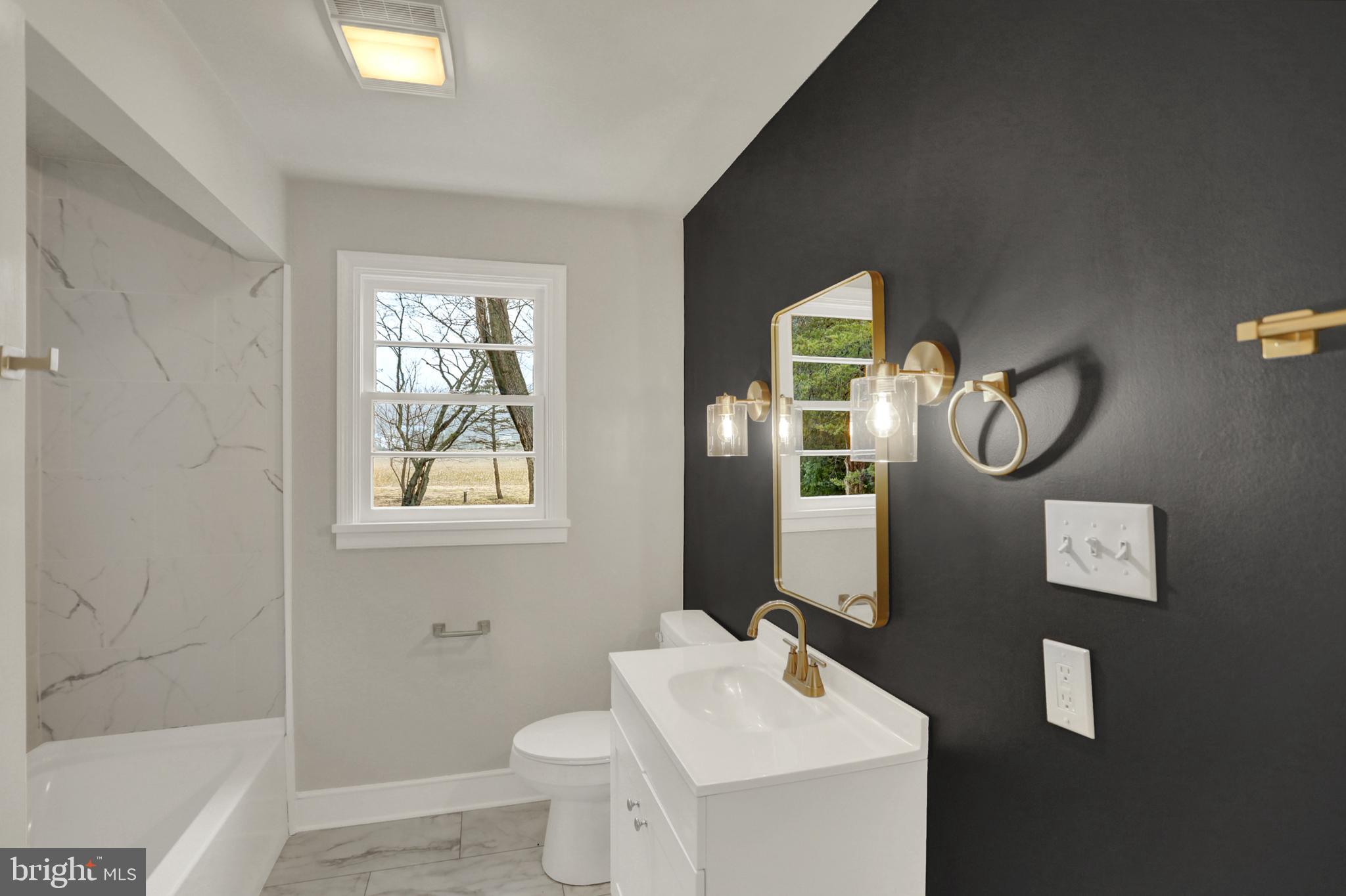 311 Pine Road Mount Holly Springs, PA 17065 - Photo 20 of 44 a bathroom with a toilet a sink and a mirror