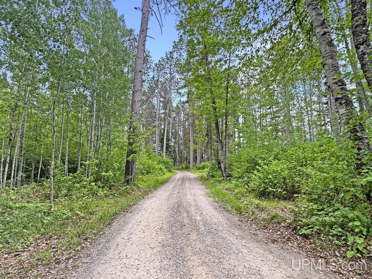 730 Premo Creek Road Crystal Falls, MI 49920 - Photo 41 of 91