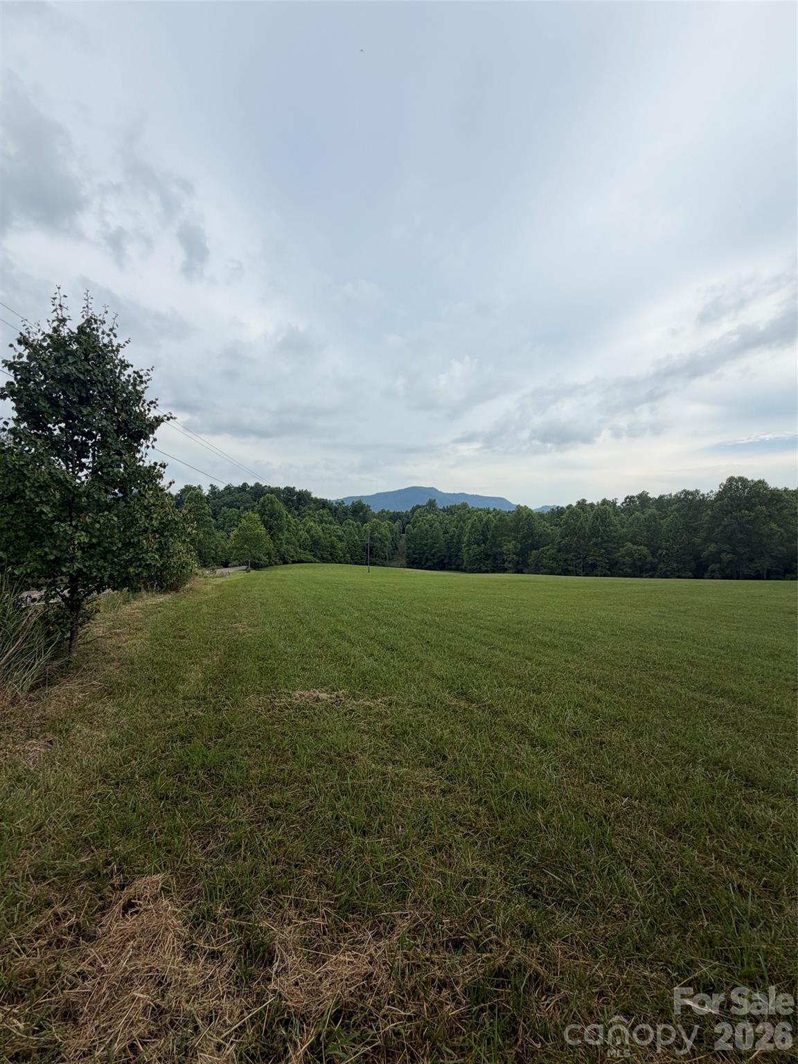 Lot 5 Parker Padgett Road Old Fort, NC 28762 - Photo 11 of 12