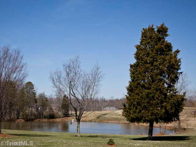 8502 Bethel Ridge Drive Oak Ridge, NC 27310 - Photo 3 of 16 Exterior Back.