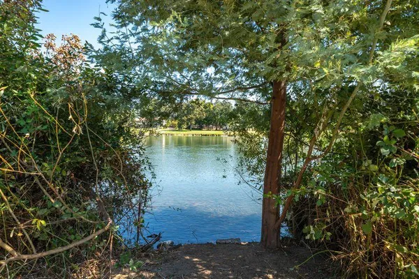 a view of a lake with a mountain in the background