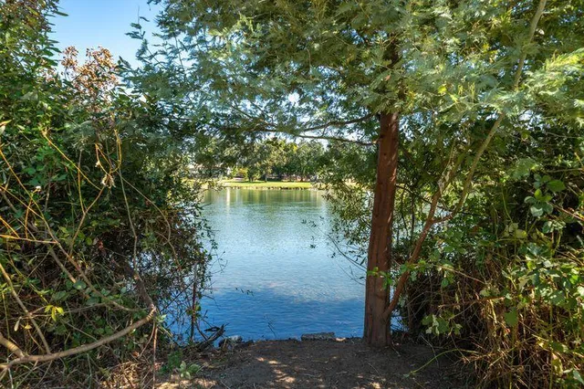 a view of a lake with a mountain in the background