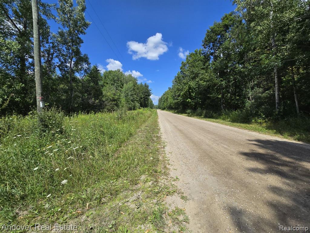 B Leckrone Road Brethren, MI 49619 - Photo 3 of 7