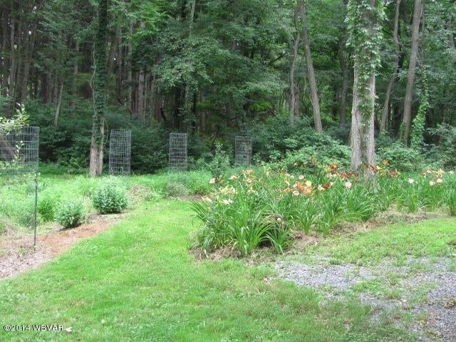 312 Rag Valley Road Mill Hall, PA 17751 - Photo 9 of 30 Landscaping