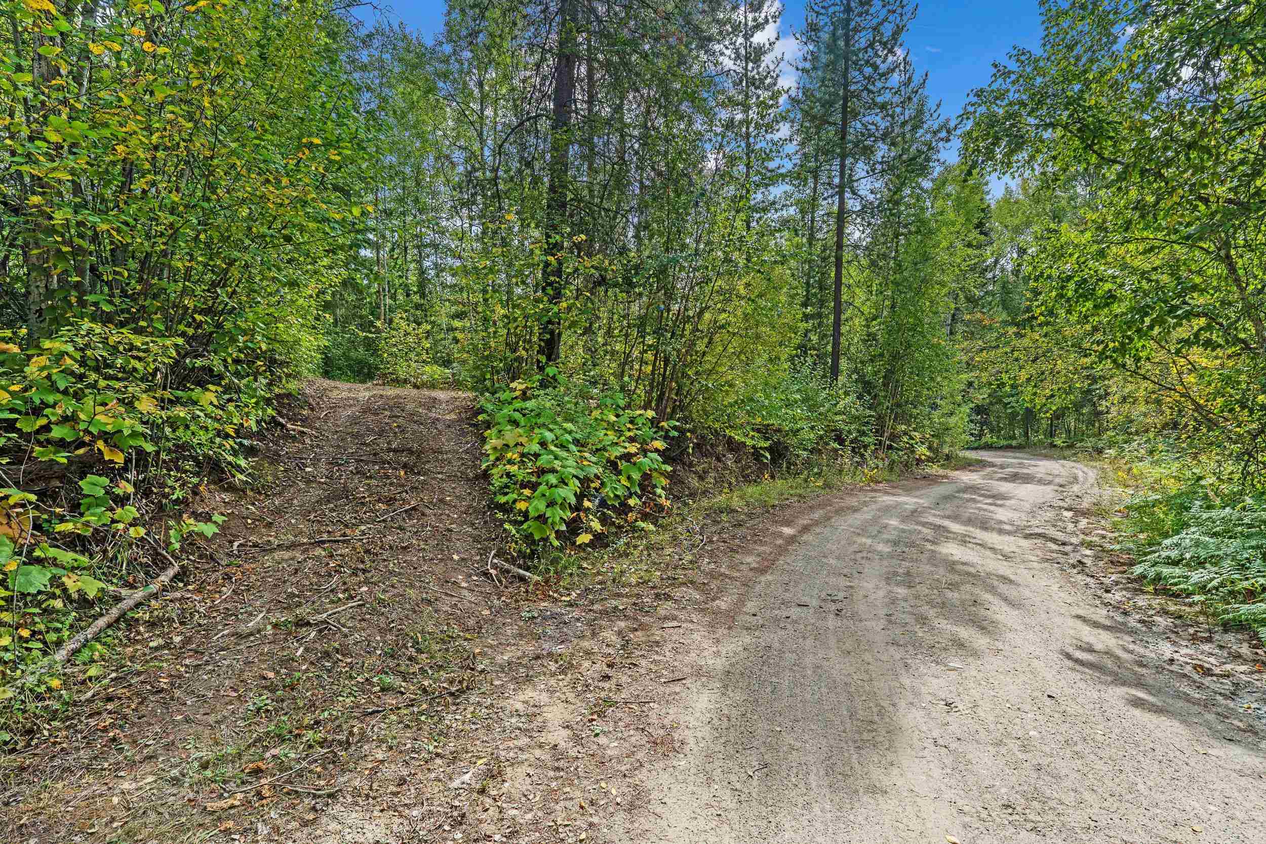 452 Catamount Ridge Lane Ione, WA 99139 - Photo 15 of 47 Gallery Image 15