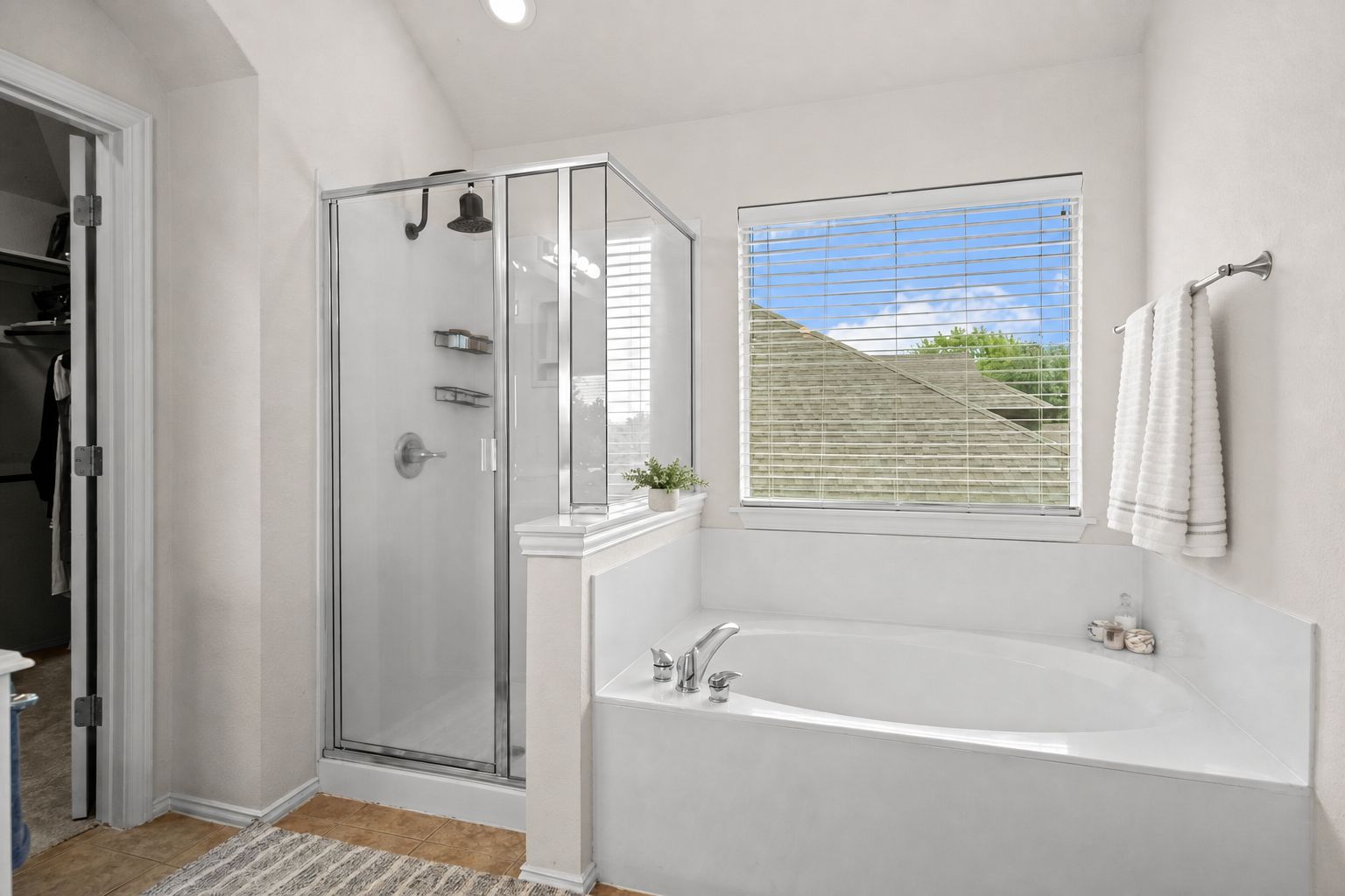20825 Kearney Hill Road Pflugerville, TX 78660 - Photo 17 of 30 Primary Bathroom
