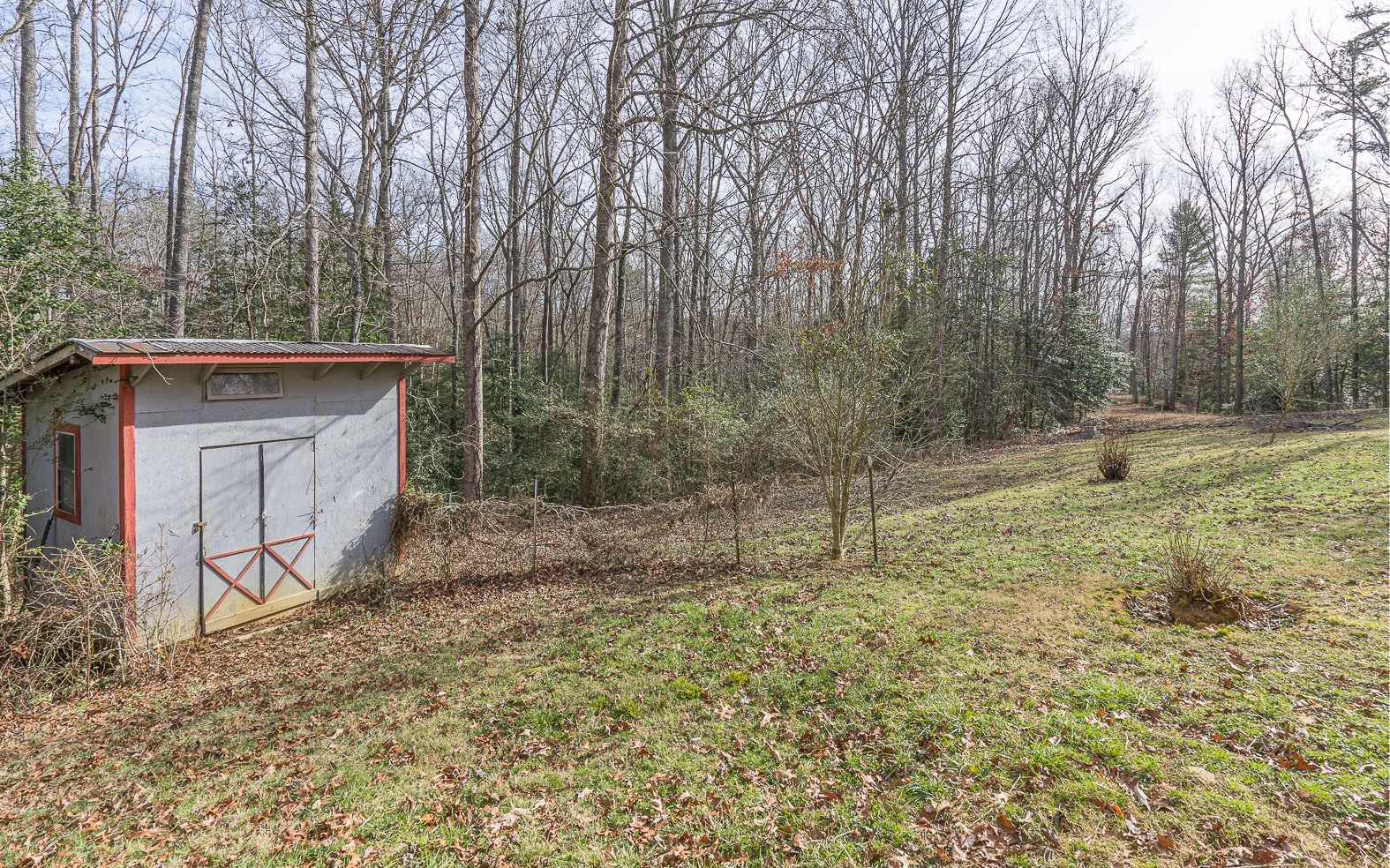 580 Snow Hill Church Road Murphy, NC 28906 - Photo 15 of 31 Additional View