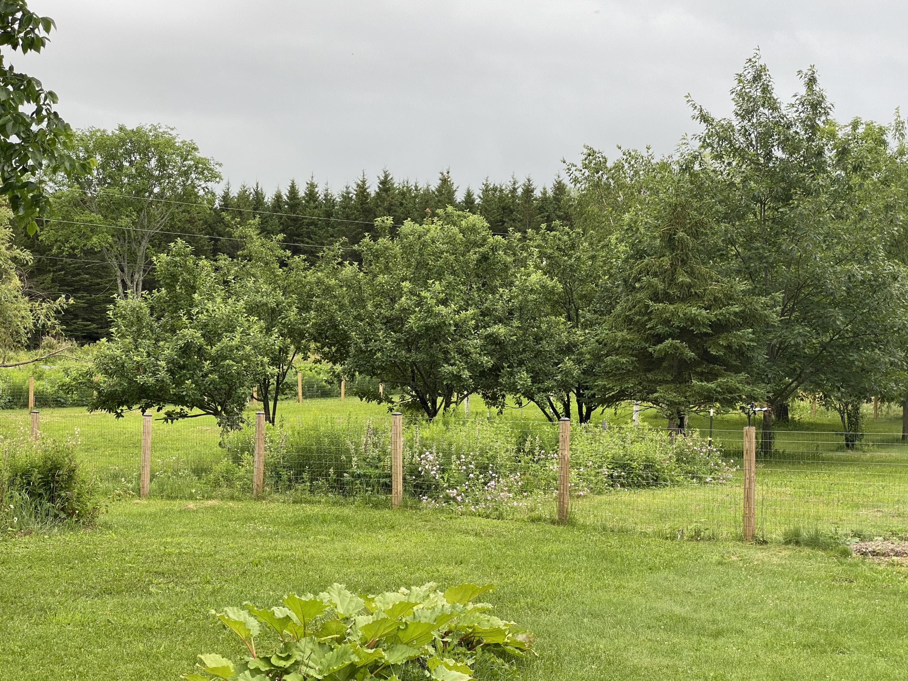 318 Turner Road Mapleton, ME 04757 - Photo 59 of 61 318 Turner Rd Castle Hill July 2021 (4)