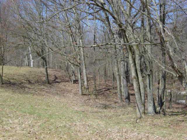 14240 Twp Rd Mount, Unit 61 Mount Perry, OH 43760 - Photo 3 of 5
