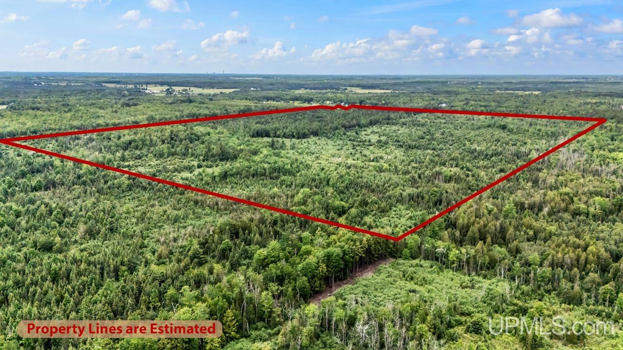 13.75 13.75 Road Escanaba, MI 49829 - Photo 3 of 16
