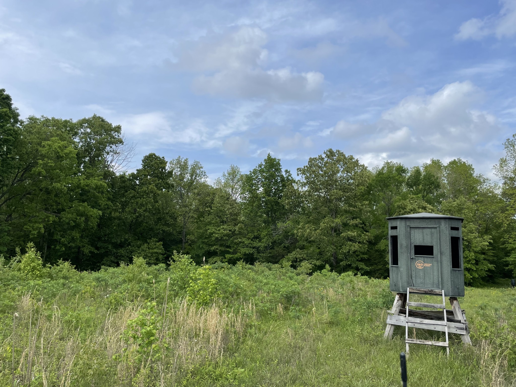 0 Kizer Ridge Road Erin, TN 37061 - Photo 1 of 2 a front view of a house with a yard and trees