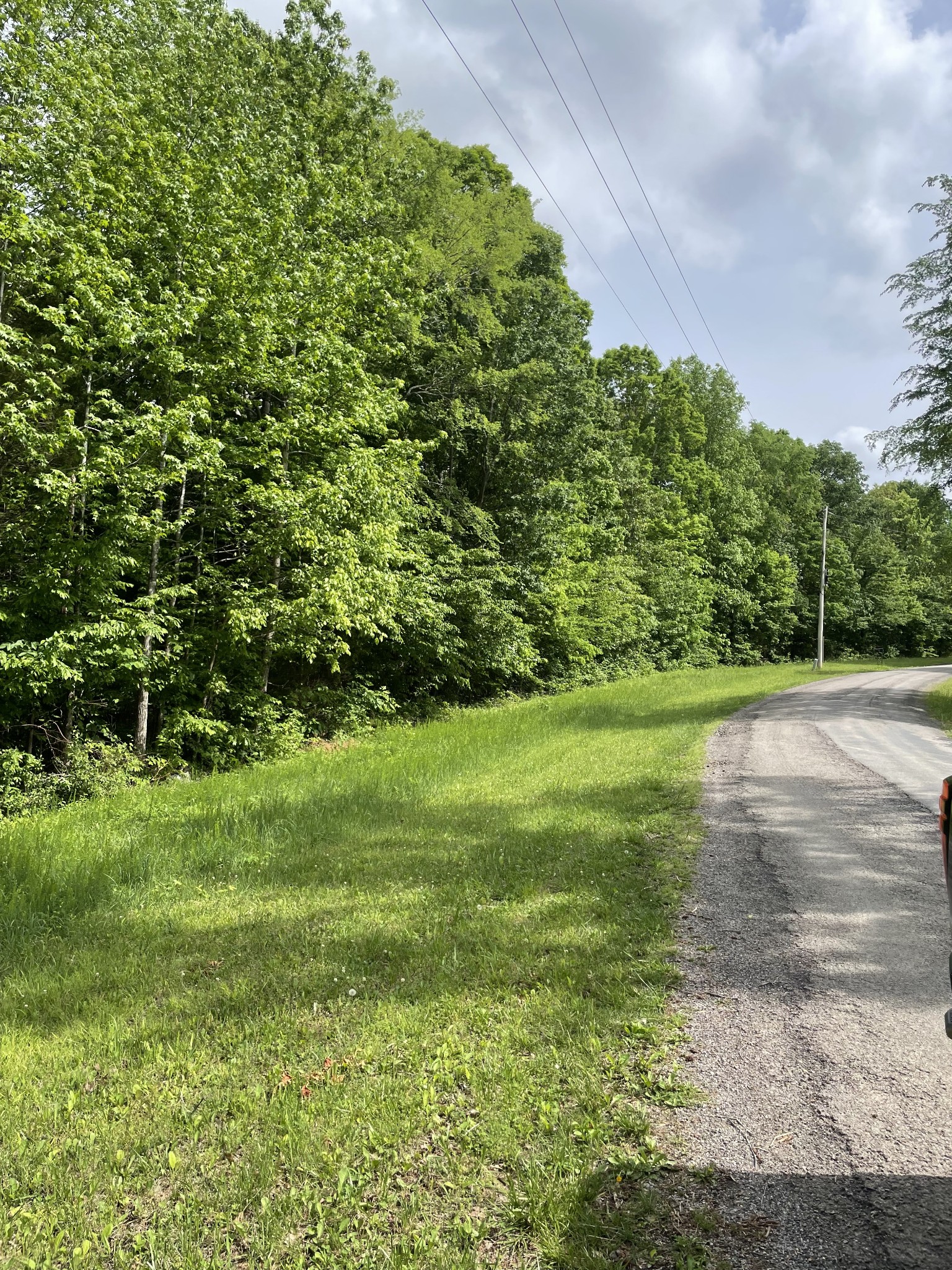 0 Kizer Ridge Road Erin, TN 37061 - Photo 2 of 2 a view of a grassy field with trees