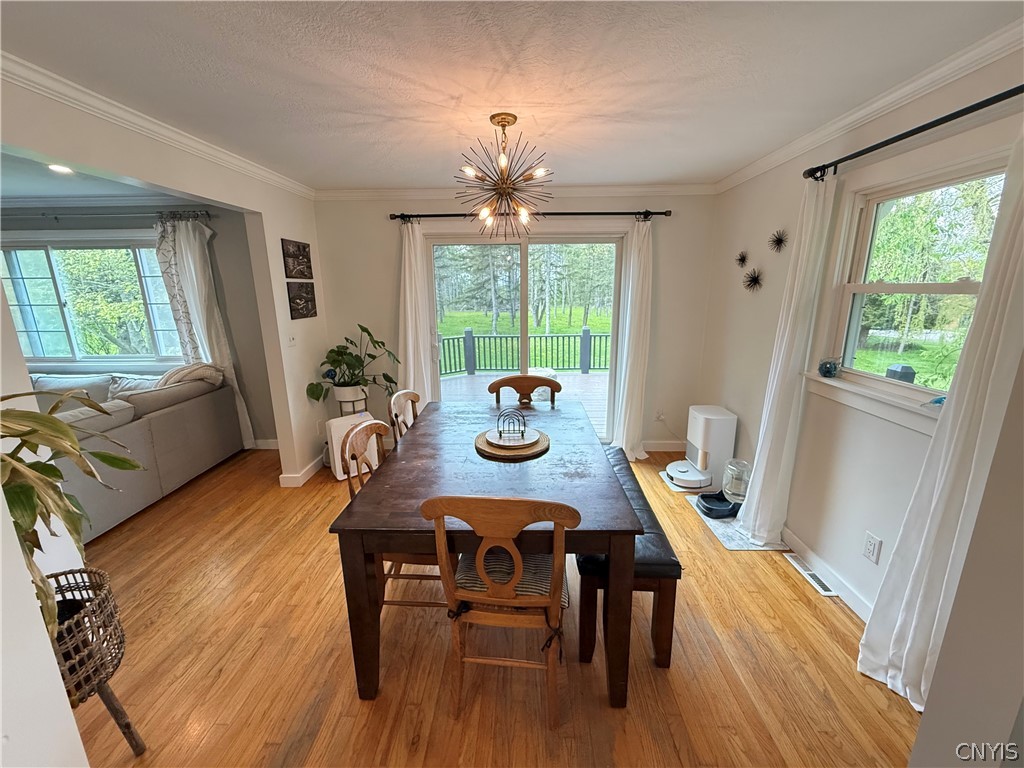 64 Gunderman Road Danby, NY 14850 - Photo 15 of 50