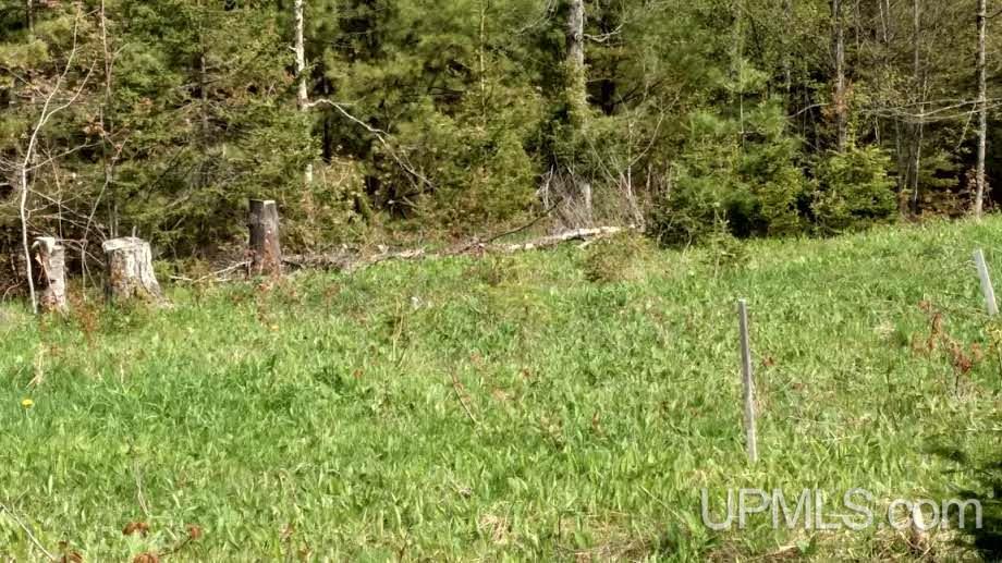 Tbd Boundary Road Chassell, MI 49931 - Photo 5 of 15