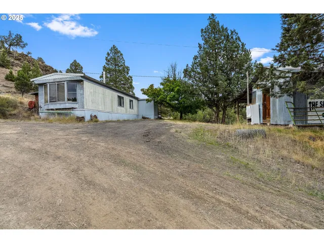 a white house with a large tree in front of it
