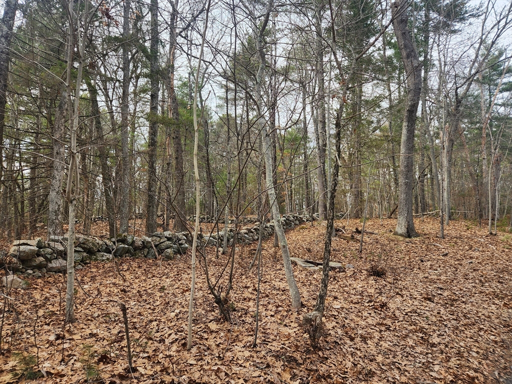 147 Washington Street Sherborn, MA 01770 - Photo 1 of 7 a view of outdoor space with lots of trees
