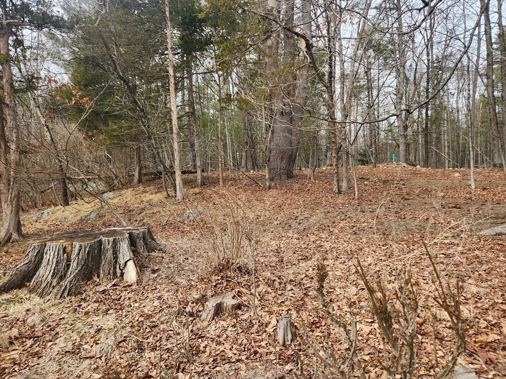 147 Washington Street Sherborn, MA 01770 - Photo 3 of 7 a backyard of a house with lots of green space
