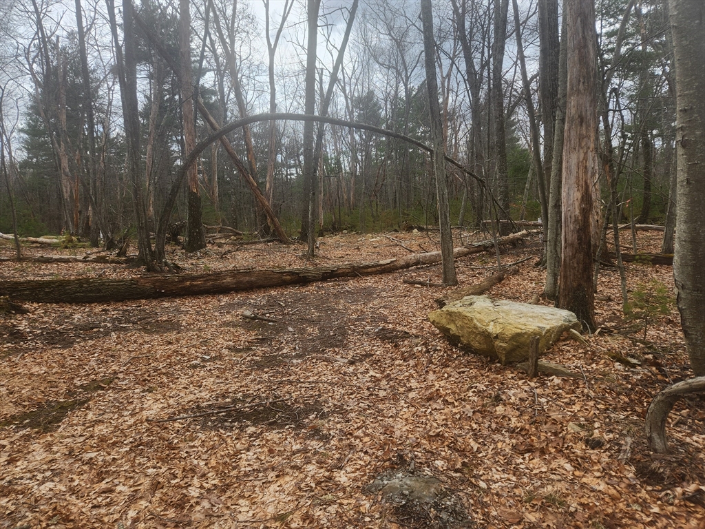 147 Washington Street Sherborn, MA 01770 - Photo 4 of 7 a view of a backyard