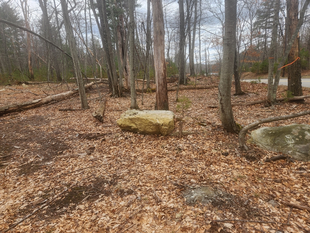 147 Washington Street Sherborn, MA 01770 - Photo 6 of 7 a backyard of a house with lots of green space