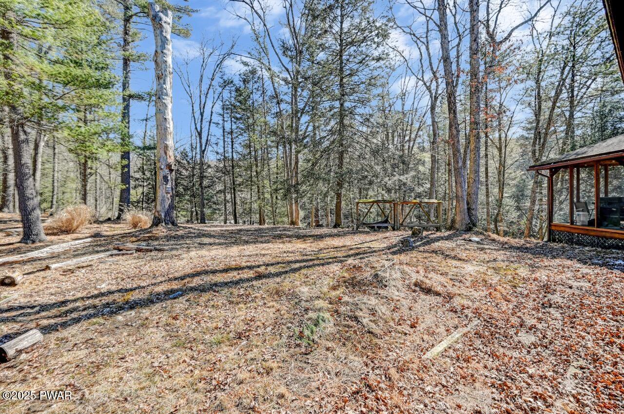 2159 Bear Town Road Canadensis, PA 18325 - Photo 33 of 36 Back Yard