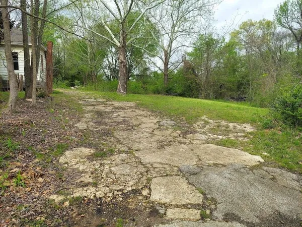a view of a yard with an trees