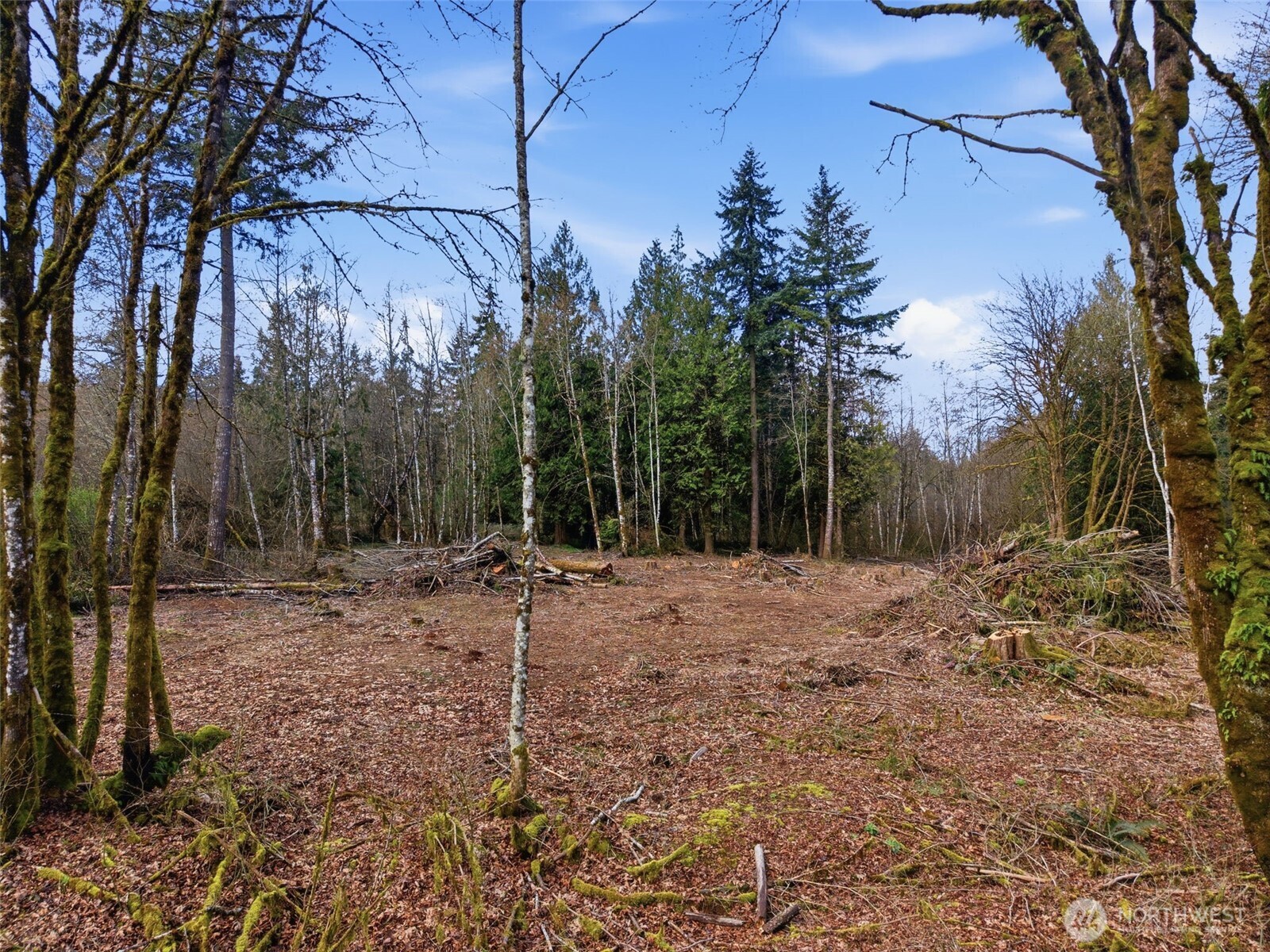 210 Vermillion Road Chehalis, WA 98532 - Photo 4 of 14