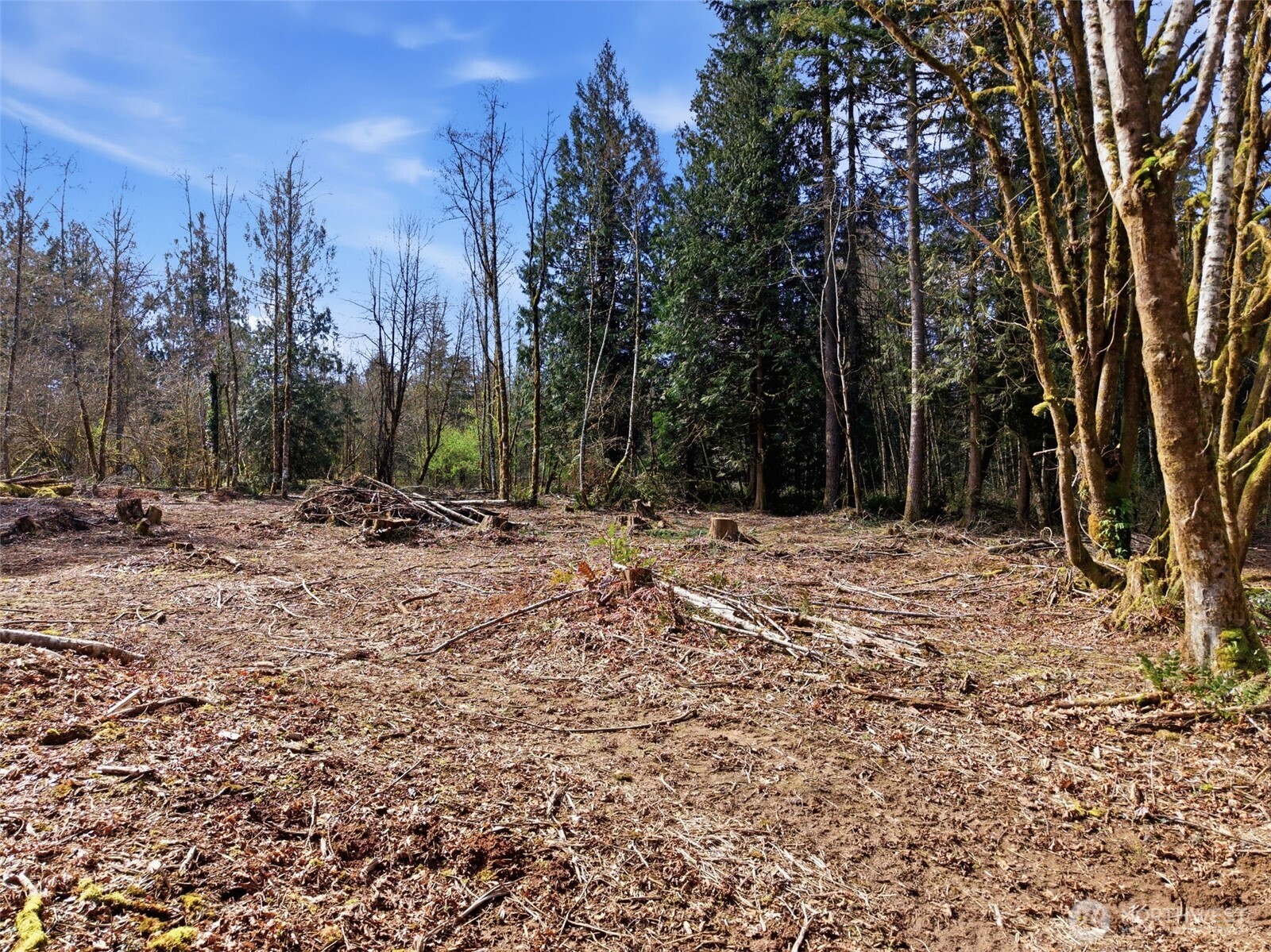 210 Vermillion Road Chehalis, WA 98532 - Photo 6 of 14