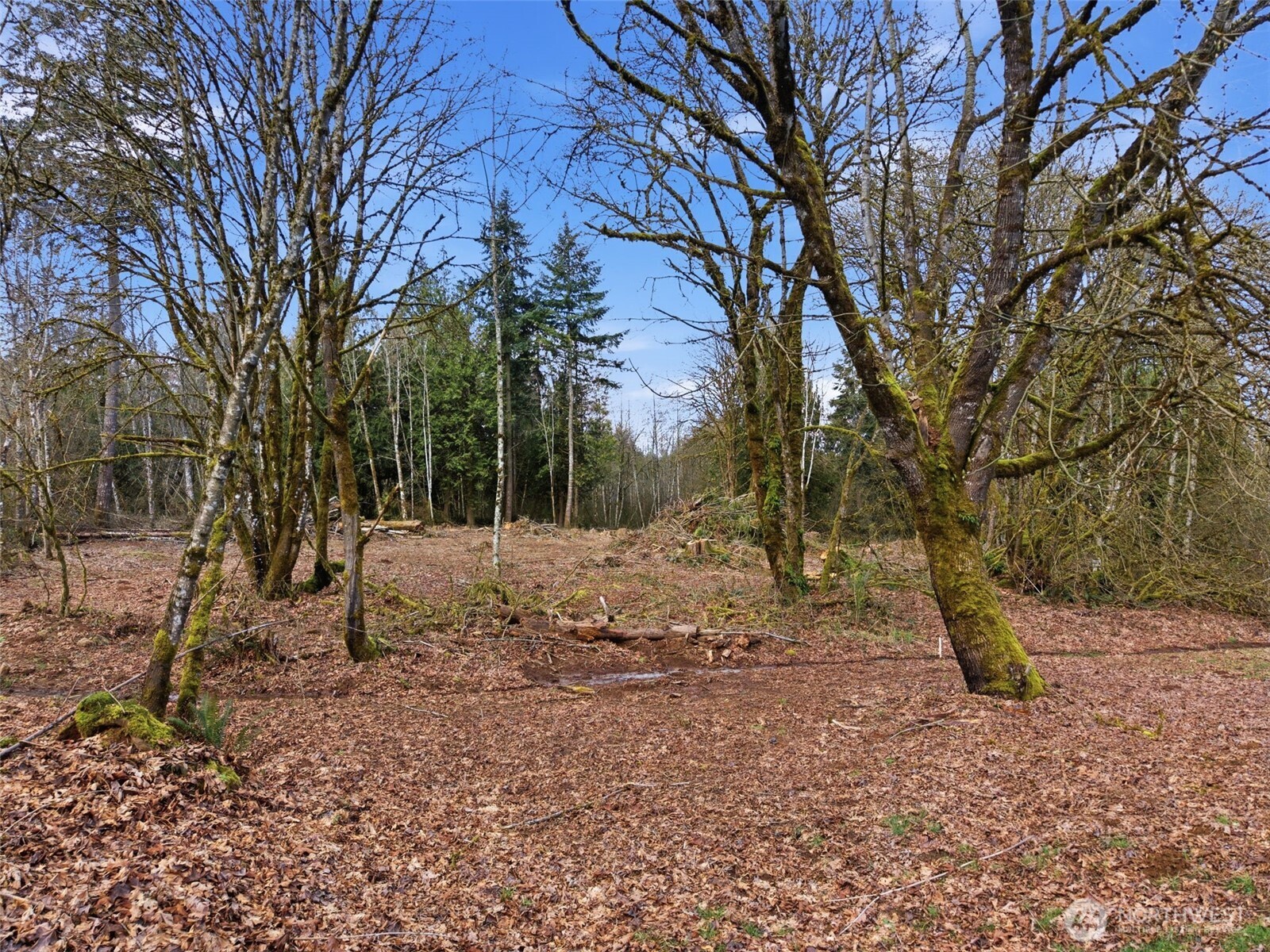 210 Vermillion Road Chehalis, WA 98532 - Photo 8 of 14