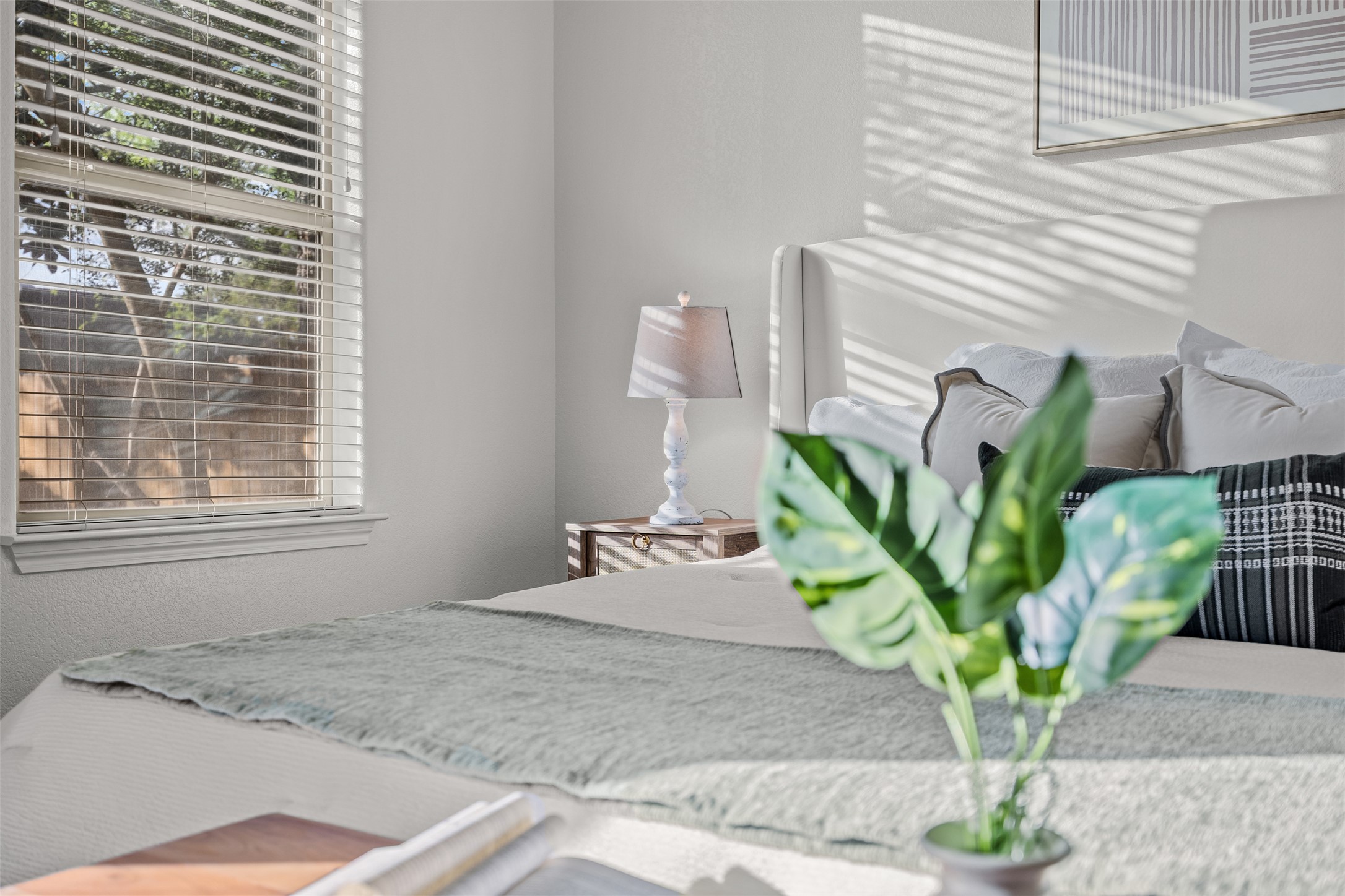 13600 Hymeadow Circle Austin, TX 78729 - Photo 20 of 34 a view of a potted plant sitting on a counter