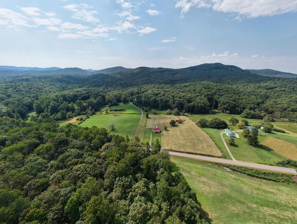 4198 Roy Road Ellijay, GA 30536 - Photo 14 of 45 Gallery Image 14