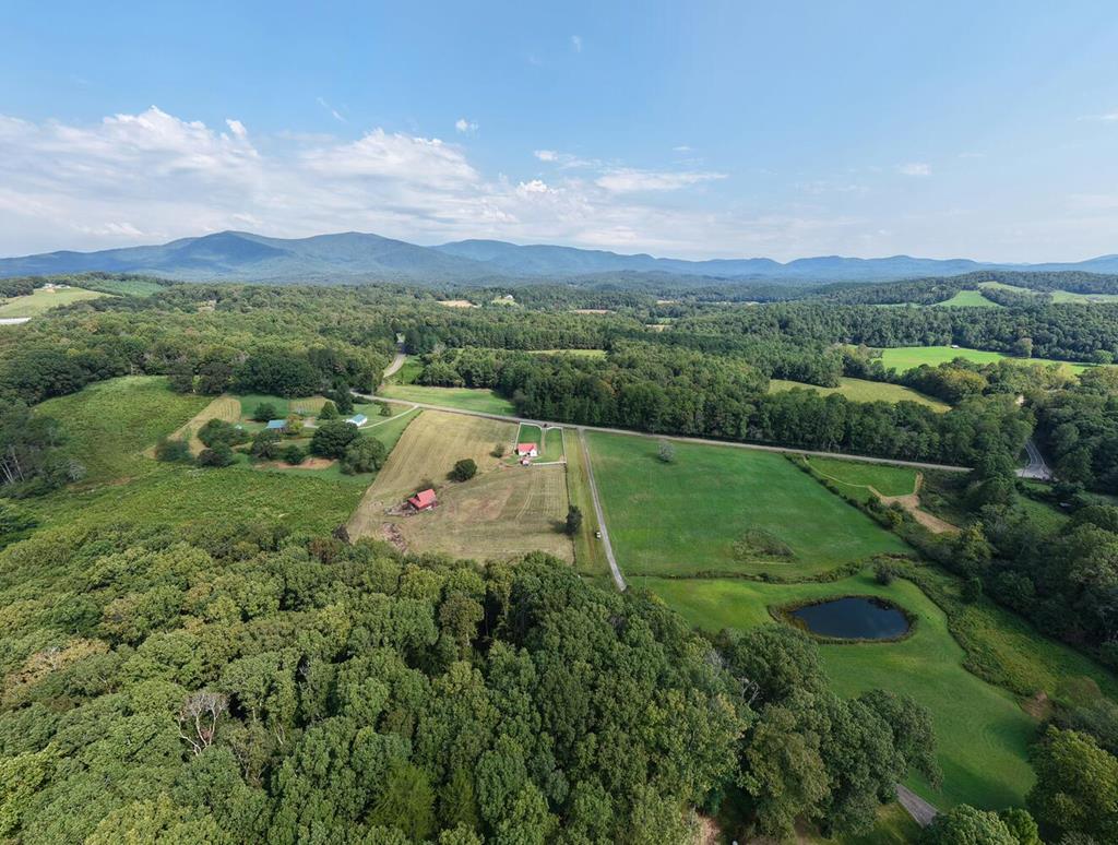4198 Roy Road Ellijay, GA 30536 - Photo 18 of 45 Gallery Image 18