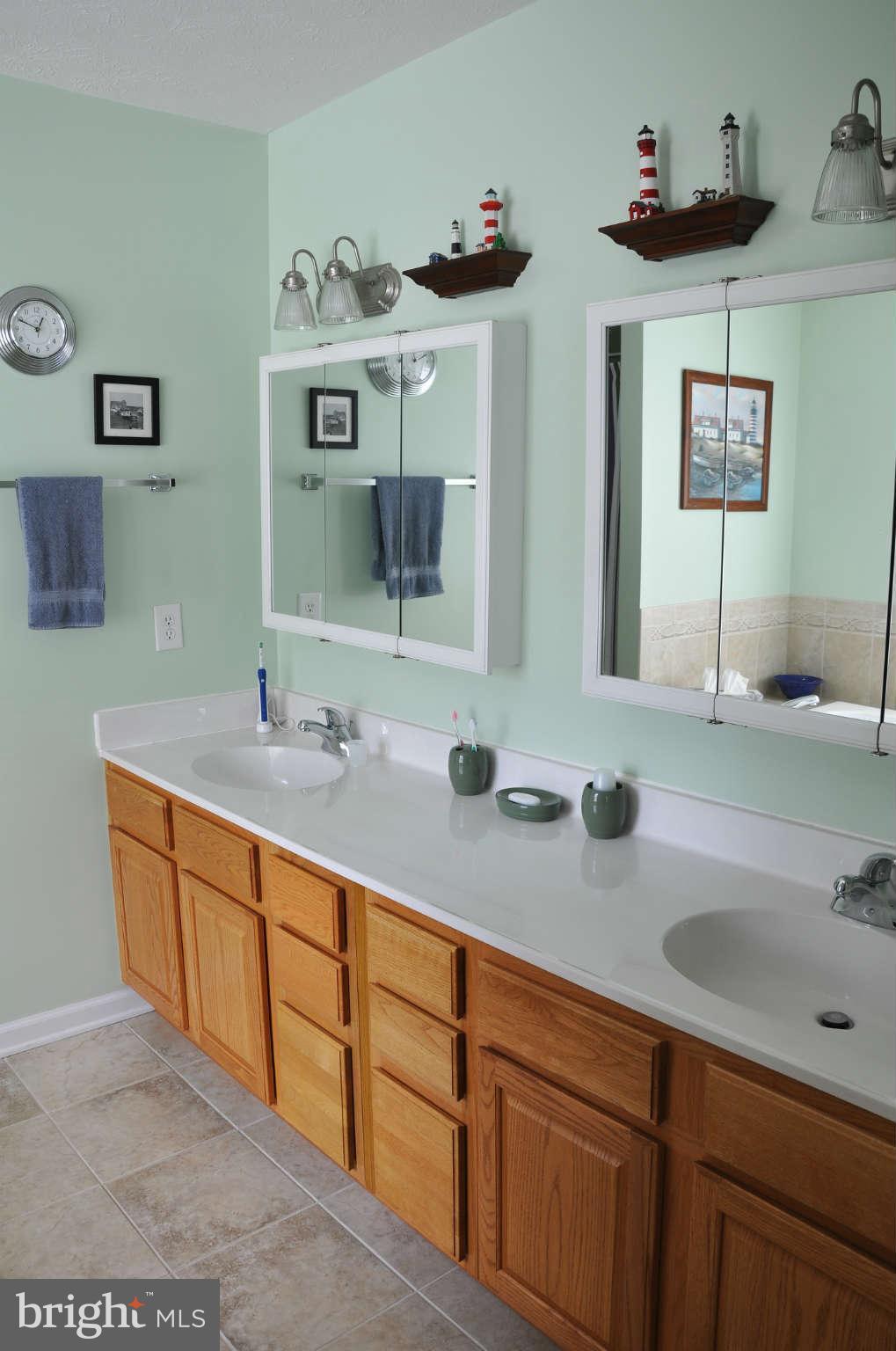 1649 Jordan Springs Road Stephenson, VA 22656 - Photo 21 of 30 Bath (Master)