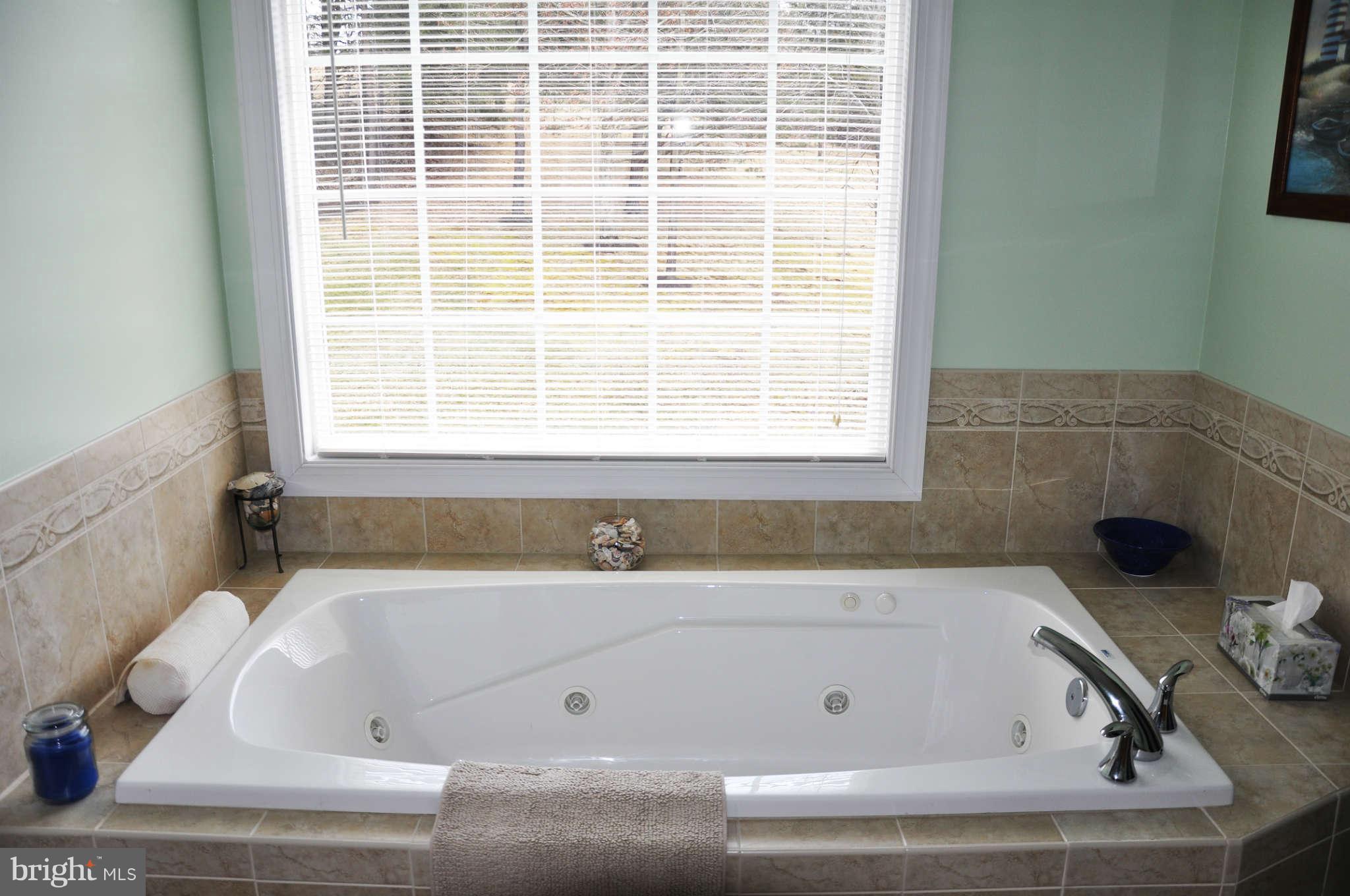 1649 Jordan Springs Road Stephenson, VA 22656 - Photo 22 of 30 Bath (Master)