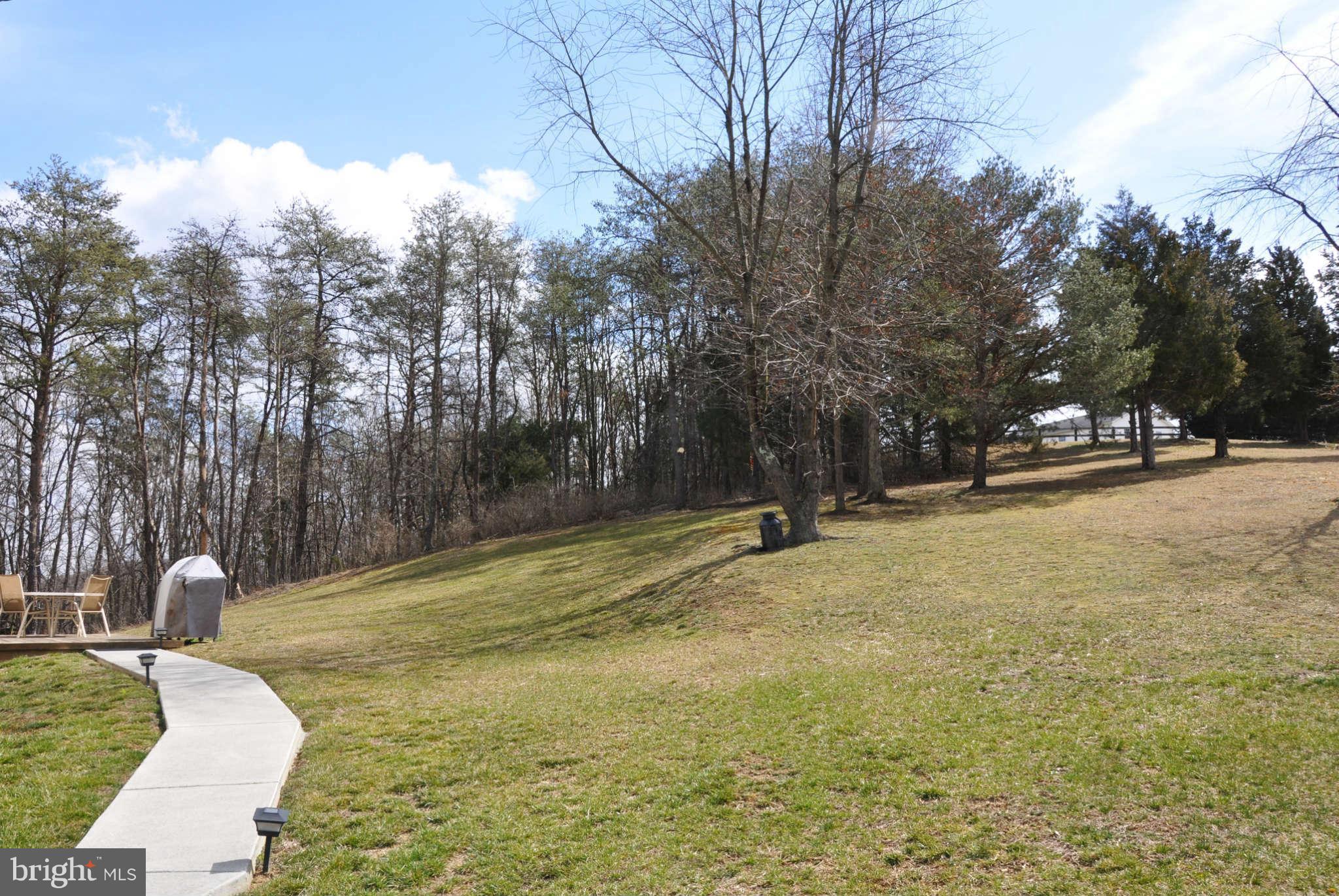 1649 Jordan Springs Road Stephenson, VA 22656 - Photo 5 of 30 Exterior (Rear)