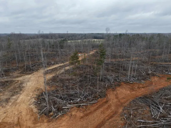 a view of a bathroom with a shower