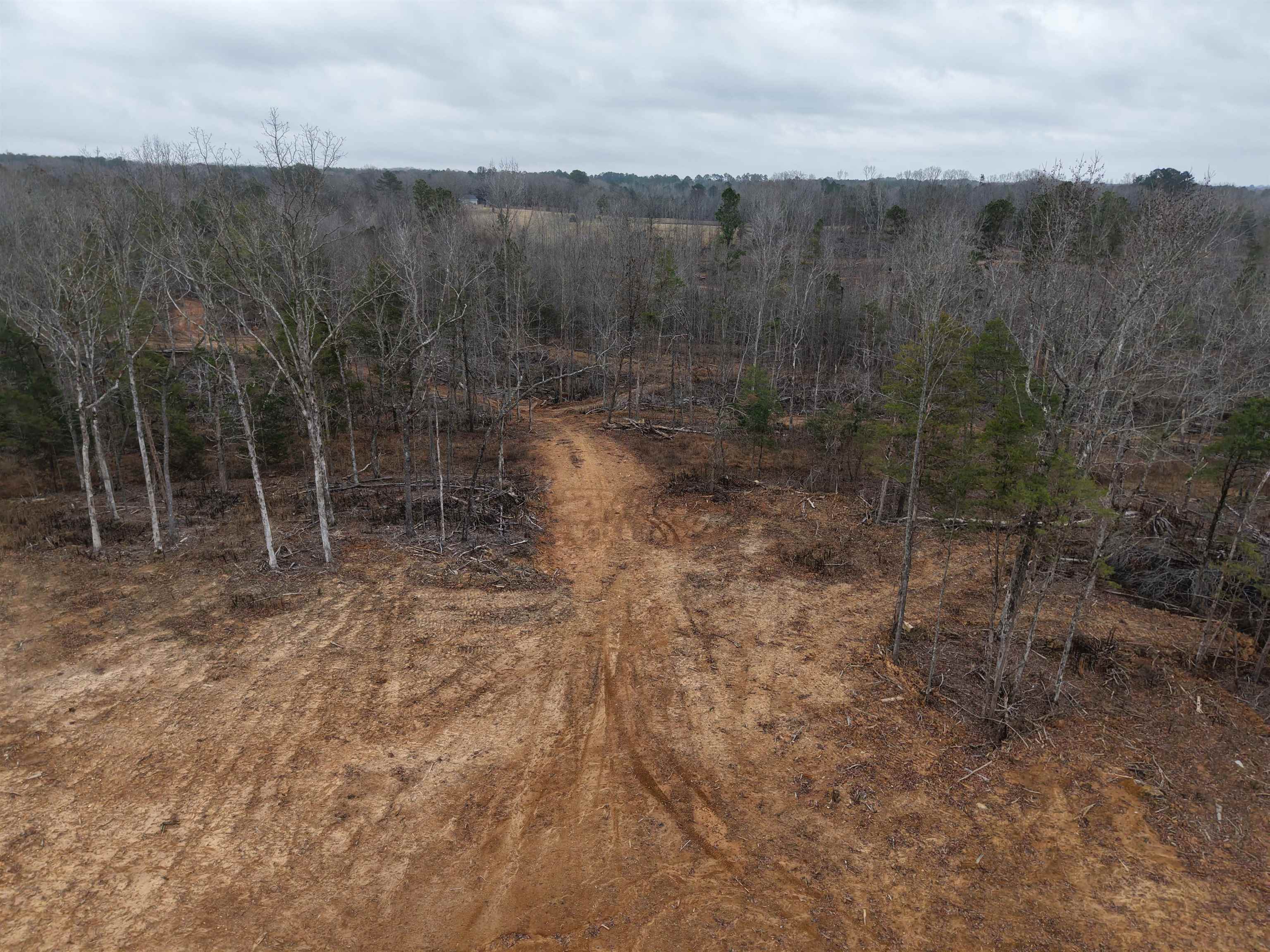 0 Spring Hill Cemetery Road Sardis, TN 38371 - Photo 11 of 23 a view of a dry yard with trees