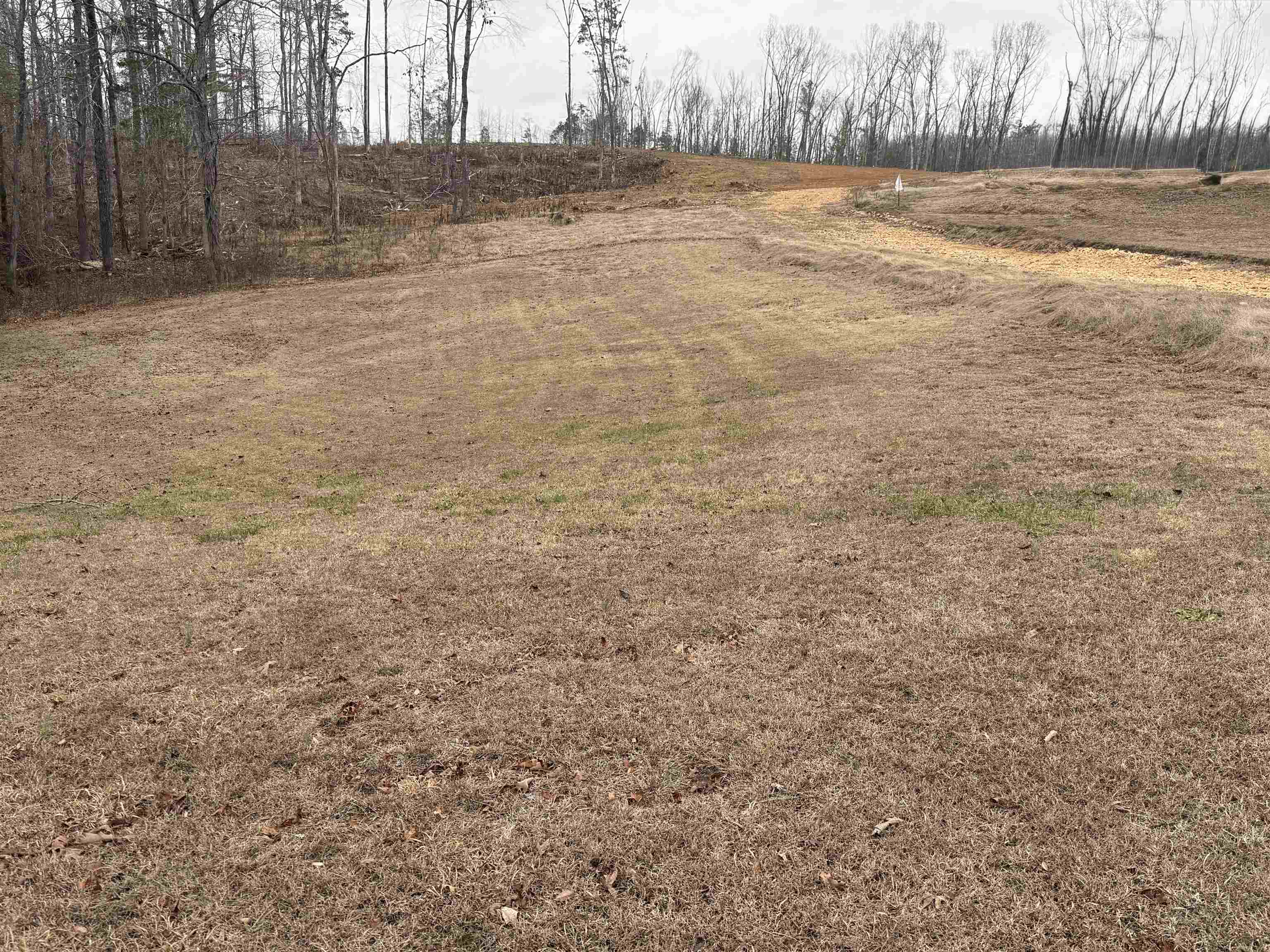 0 Spring Hill Cemetery Road Sardis, TN 38371 - Photo 18 of 23 a view of swimming pool with large trees