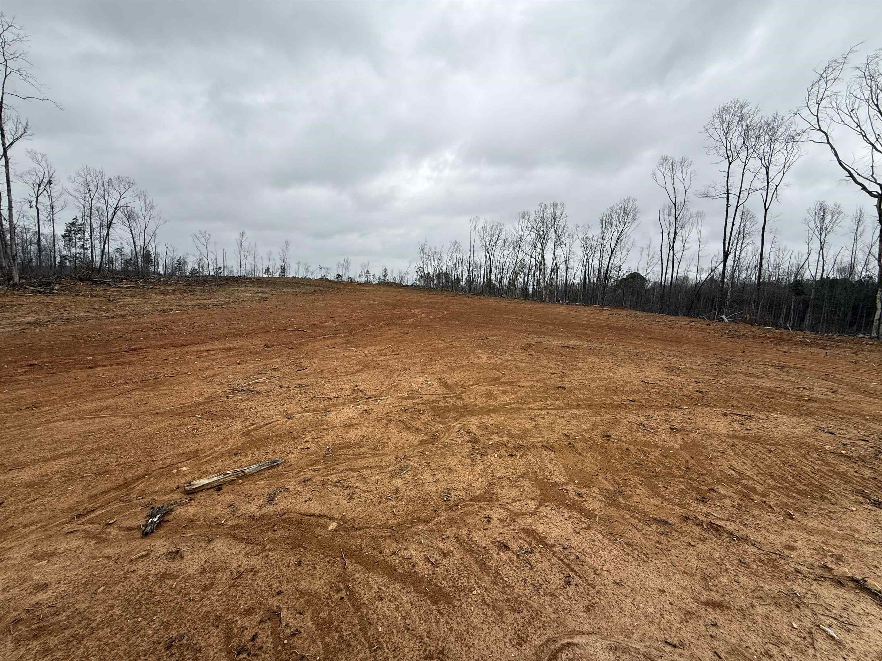 0 Spring Hill Cemetery Road Sardis, TN 38371 - Photo 21 of 23 a view of an ocean