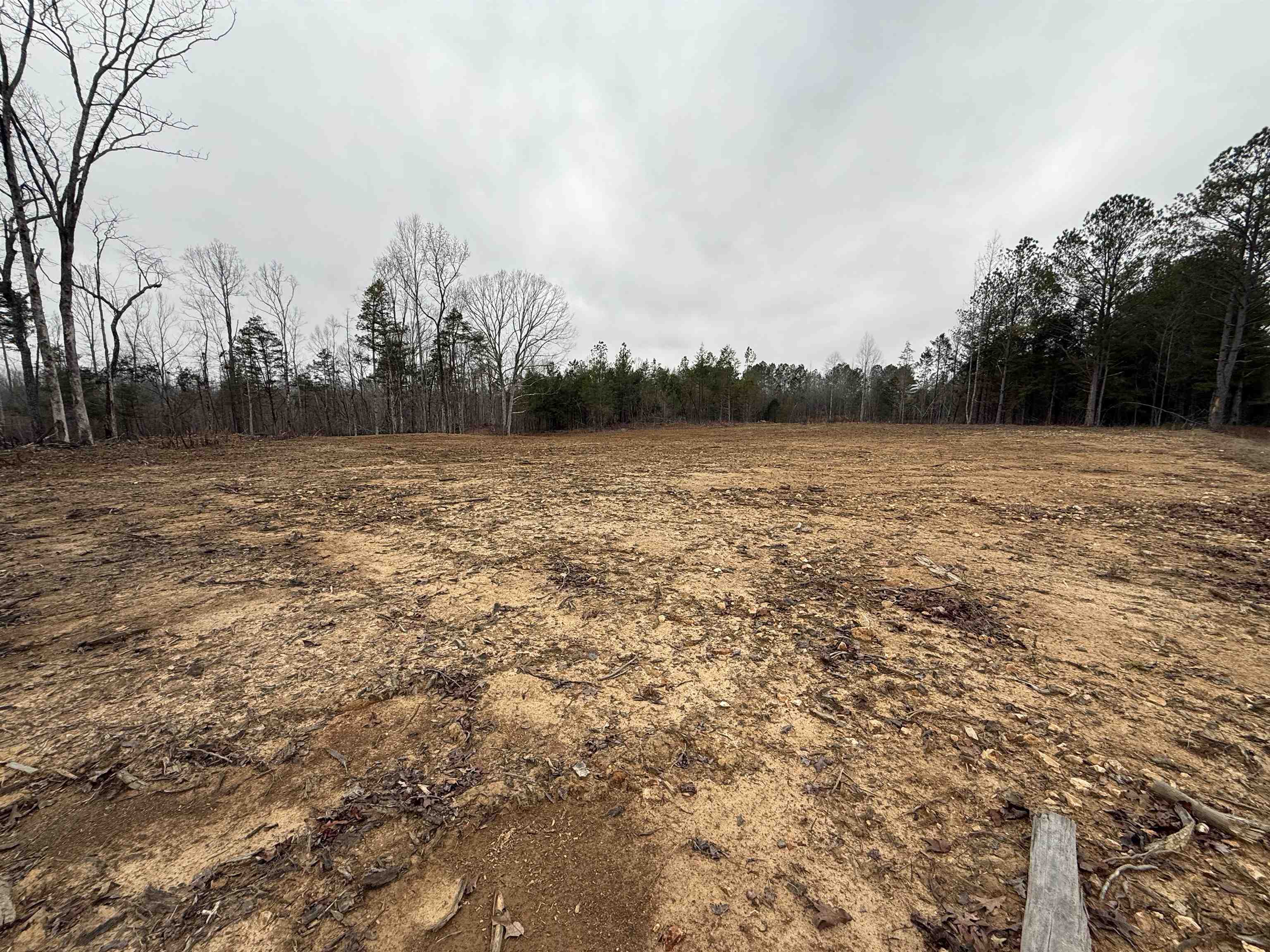0 Spring Hill Cemetery Road Sardis, TN 38371 - Photo 3 of 23 a view of a lake view