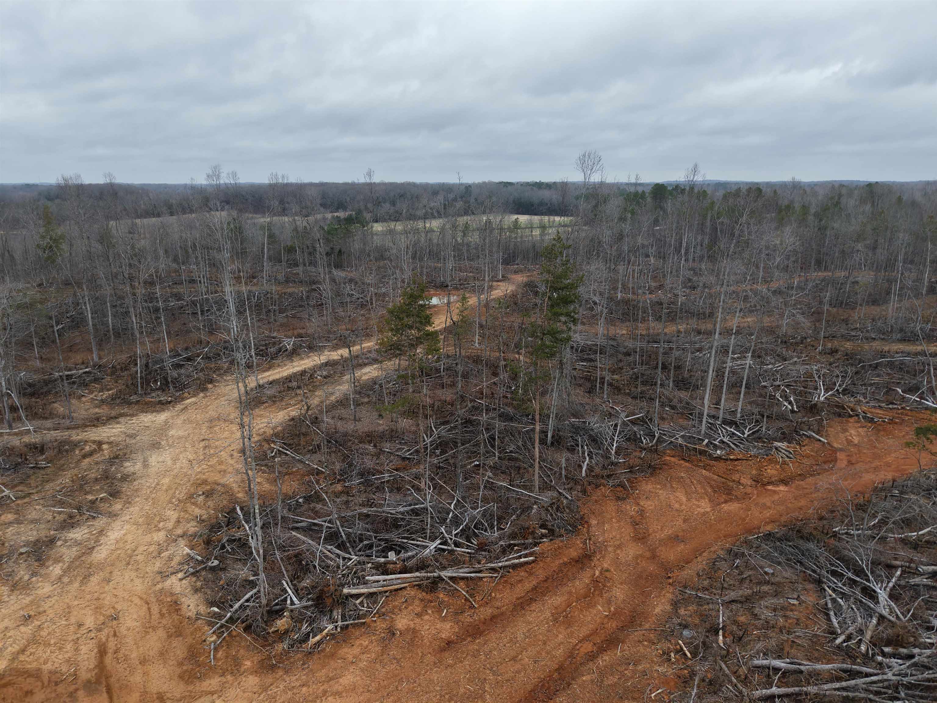 0 Spring Hill Cemetery Road Sardis, TN 38371 - Photo 4 of 23 a view of a bathroom with a shower