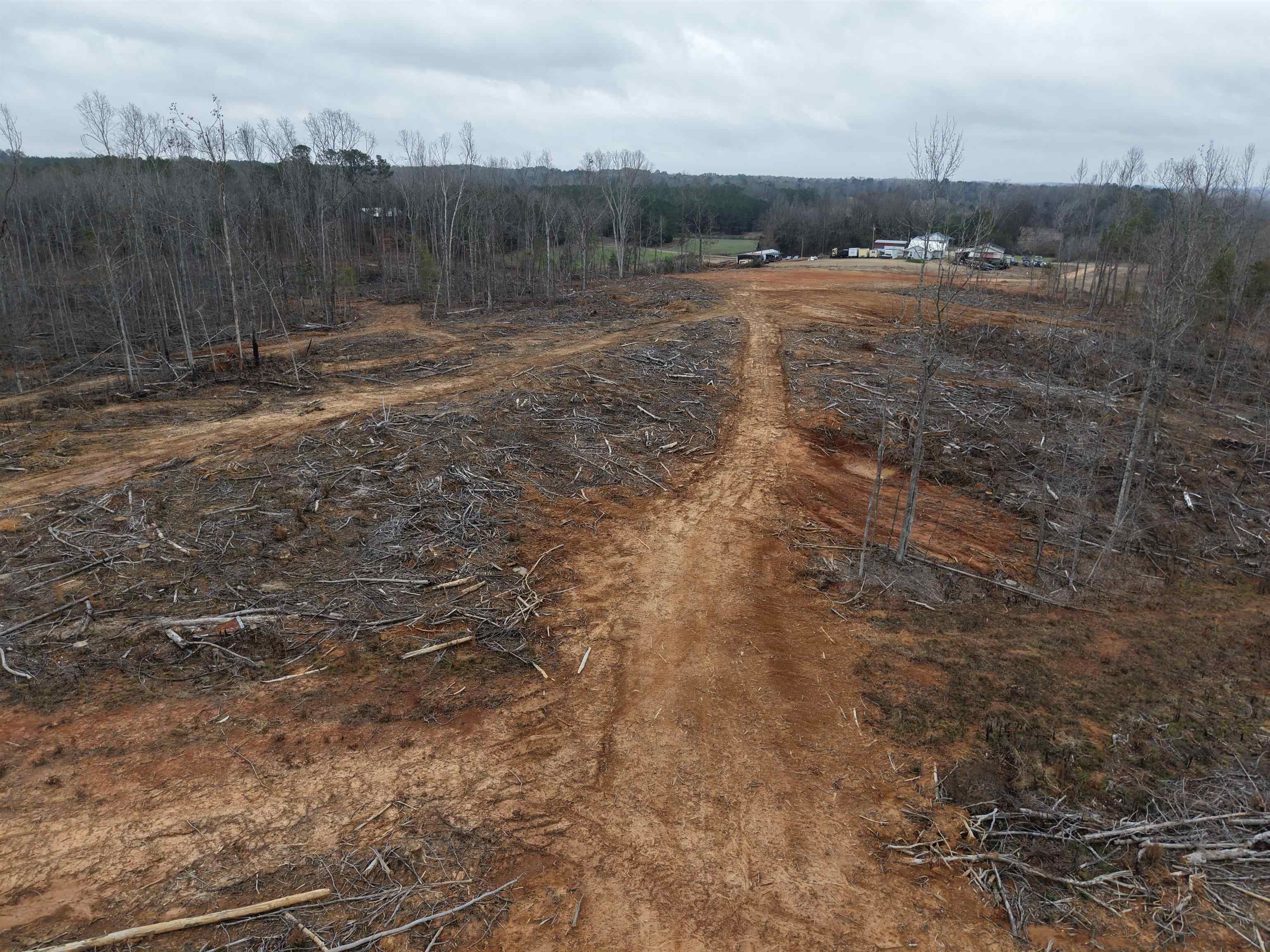 0 Spring Hill Cemetery Road Sardis, TN 38371 - Photo 5 of 23 a view of a dry yard with wooden fence