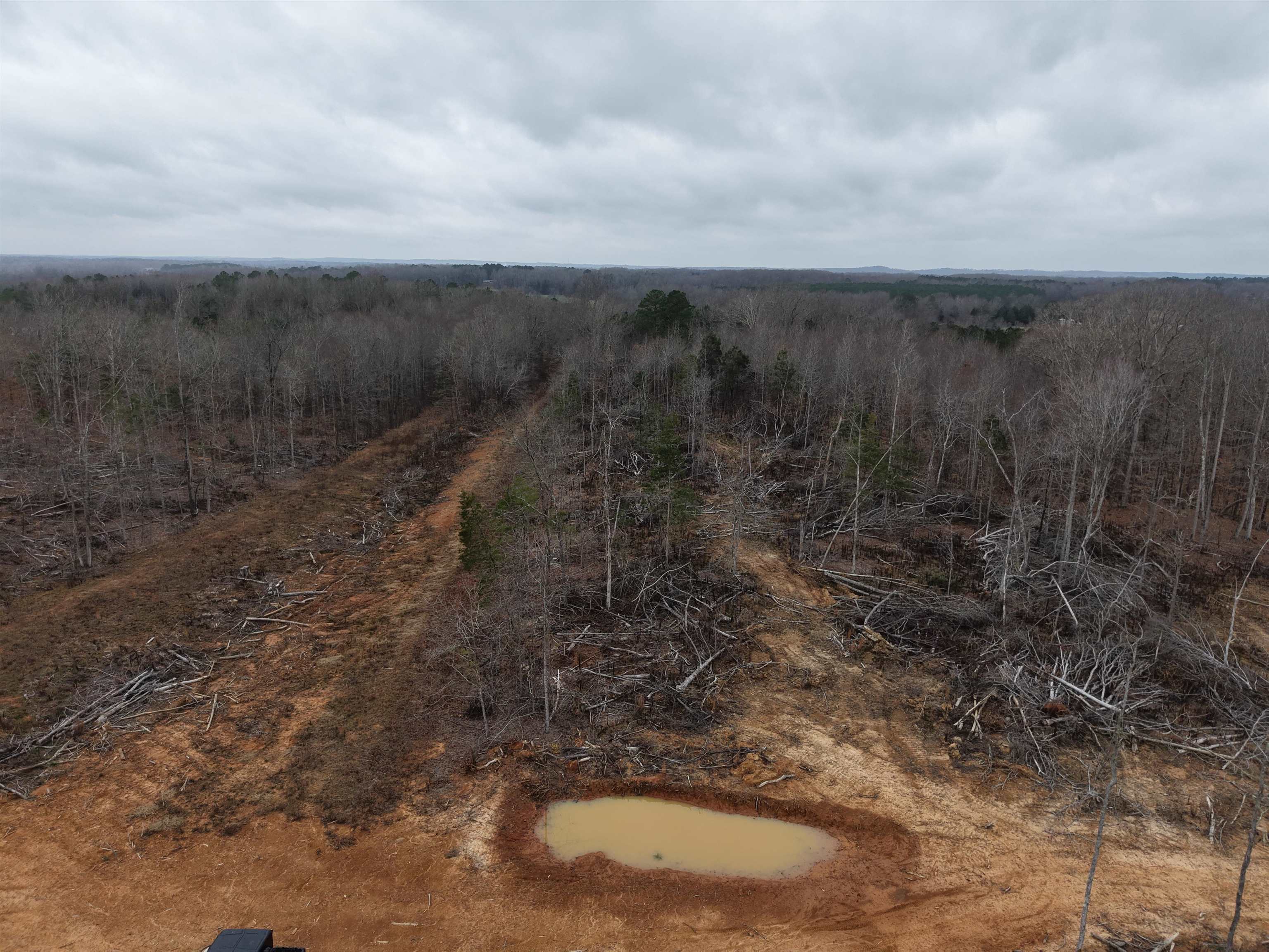 0 Spring Hill Cemetery Road Sardis, TN 38371 - Photo 6 of 23